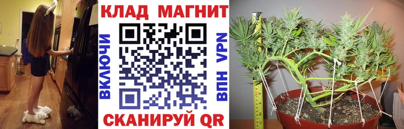 Как найти закладки Вилюйск Альфа ПВП  Кокаин  Гашиш  Меф  Героин  Марихуана 