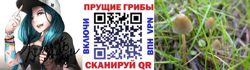 Галлюциногенные грибы MAGIC MUSHROOMS  наркошоп  Вилюйск 